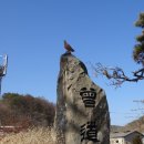 증촌 네이버블로그