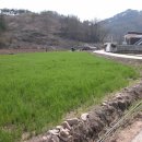 채수농장 이미지