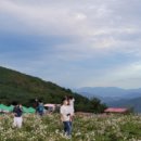 경남 전세버스 협동조합 이미지