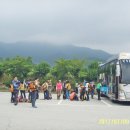 경호강약국 이미지