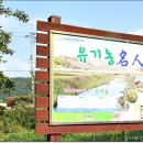 꿈여울 농장 이미지