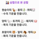 심리 명리학 이미지