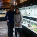 스마트 애견 이미지