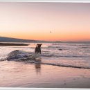 세종호수공원 산책로 이미지