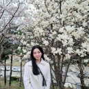 쫄쫄호떡 이미지