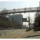 서울성모병원 정문 앞 횡단보도 이미지