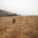 삼풍목장 이미지