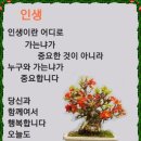 세라비 Daum카페