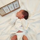 엘리시아 | 포항 엘리시아 산후조리원 후기 2탄 (스위트룸/비용/밥/목욕 교육)