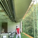 차우리다 이미지