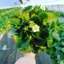 해랑농장 이미지