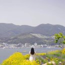 라벤더민박 이미지