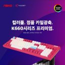 다팔다 이미지