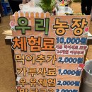 우리농장 | 서울 근교 아이와 함께하는 실내 동물농장, 포천 우리농장 후기