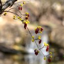 화전3리 마을회관 이미지