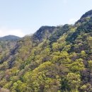 남원지리산 이미지