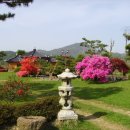 갈멜사슴농원 이미지