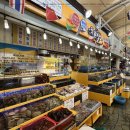 청춘수산 이미지