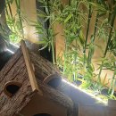 2NE1 노래연습장 이미지