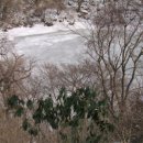 숲속의호수 이미지