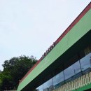 샐러드와 | 흑석동 맛집 닥터로빈 흑석점｜치킨 시저 샐러드와 파스타 썸머 세트 후기
