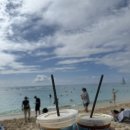 고래천국 | 천국 그 자체였던 하와이 - 터틀스노우쿨링 + 선셋선상파티 +혹등고래 만남!