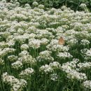 요한농장 이미지