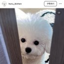 욱이족발
