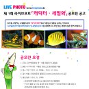 포토라이브 이미지