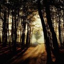 이리세탁소 이미지