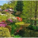 무릉펜션민박 이미지