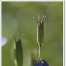 유심농장 이미지