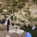 더치앤빈 미사역 그랑파사쥬 | 하남 미사역 그랑파사쥬웨딩앤파티 홀투어 후기 (가계약O, 견적공유X)