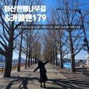 179 | 아산 봄산책 러닝하기좋은곳 은행나무길 &amp; 카페앤179 다녀온후기