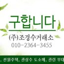 수목 구합니다(아카시아묘목, 층층나무,때죽나무, 소사나무) 이미지