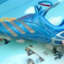 엡솔루트 이미지