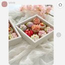 달콩정원 이미지