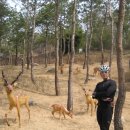 남산웰빙 이미지