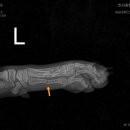 한라동물종합병원 이미지