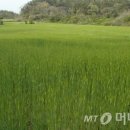 백호축산 이미지