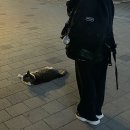 추석이다