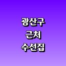 라인1차세탁소 | 광주 광산구 근처 수선집 잘하는곳 옷수선 정보 추천 가죽 자크 수선실 니트 교복 패딩 세탁소 후기