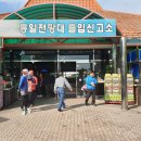 거진활어회센터 이미지