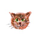 범천1동-3 이미지