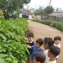 꿈예뜰어린이집 이미지