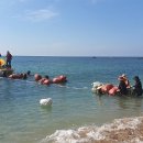 제주퍼시픽 이미지