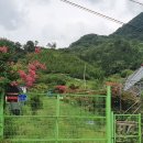 곡성-190 티스토리