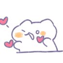 인천고양이분양 도레미캣 이미지