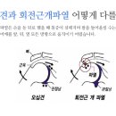 연세든든척의원 네이버블로그