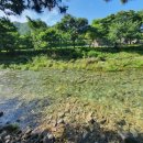 솔바람오토캠핑장 이미지